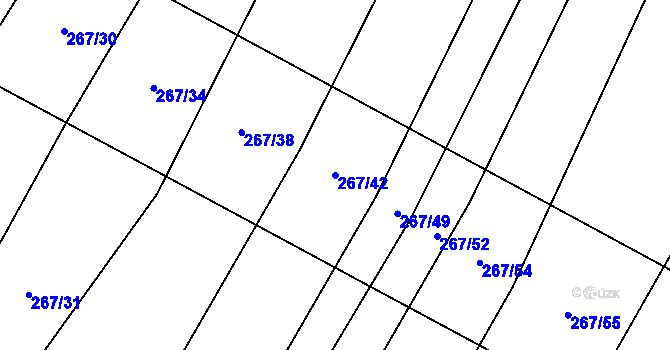 Parcela st. 267/42 v KÚ Výrovice, Katastrální mapa