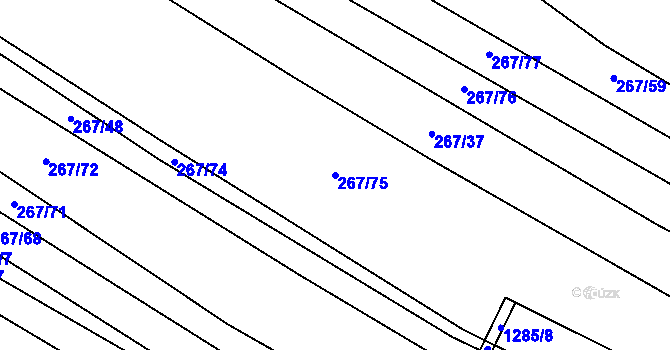 Parcela st. 267/75 v KÚ Výrovice, Katastrální mapa