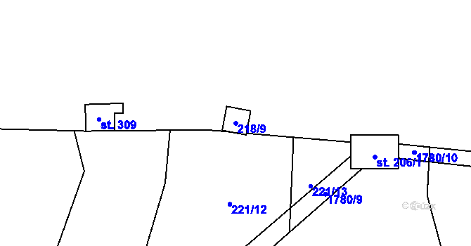 Parcela st. 218/9 v KÚ Vyskytná nad Jihlavou, Katastrální mapa