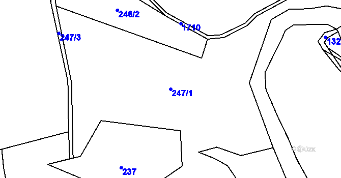Parcela st. 247/1 v KÚ Vyskytná nad Jihlavou, Katastrální mapa
