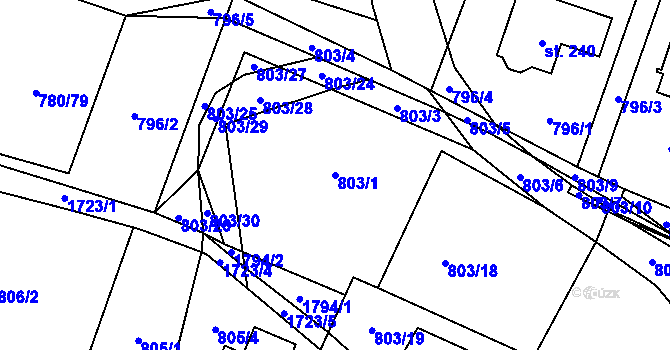 Parcela st. 803/1 v KÚ Vyskytná nad Jihlavou, Katastrální mapa
