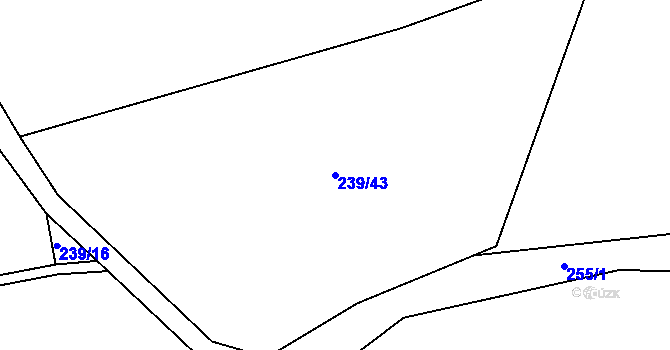 Parcela st. 239/43 v KÚ Vyskytná nad Jihlavou, Katastrální mapa