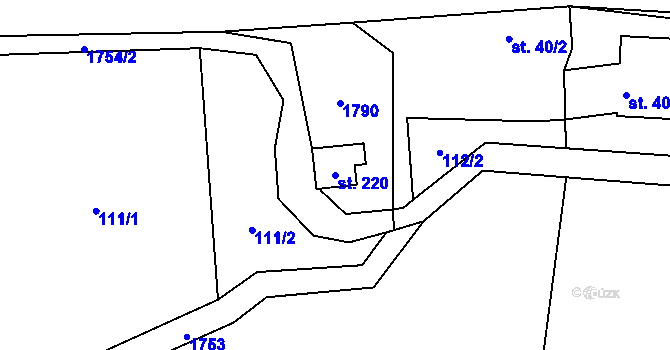 Parcela st. 220 v KÚ Vyskytná nad Jihlavou, Katastrální mapa