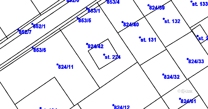 Parcela st. 224 v KÚ Molenburk, Katastrální mapa