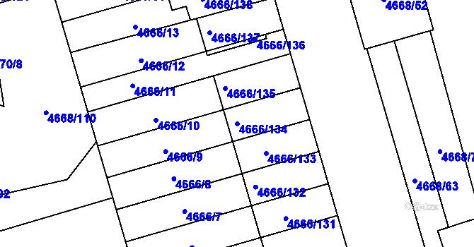 Parcela st. 4666/134 v KÚ Vysoké Mýto, Katastrální mapa