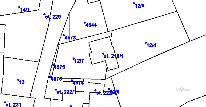 Parcela st. 218/1 v KÚ Vysoké Pole, Katastrální mapa
