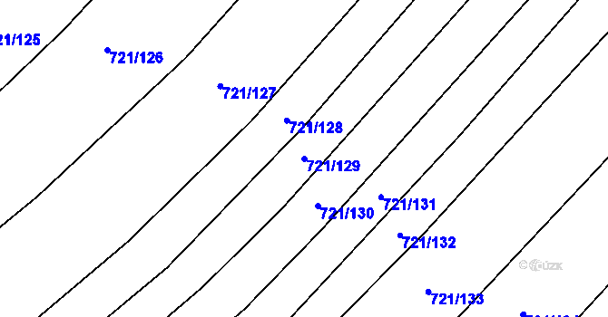 Parcela st. 721/129 v KÚ Dědice u Vyškova, Katastrální mapa