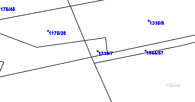 Parcela st. 1318/7 v KÚ Vyšné, Katastrální mapa