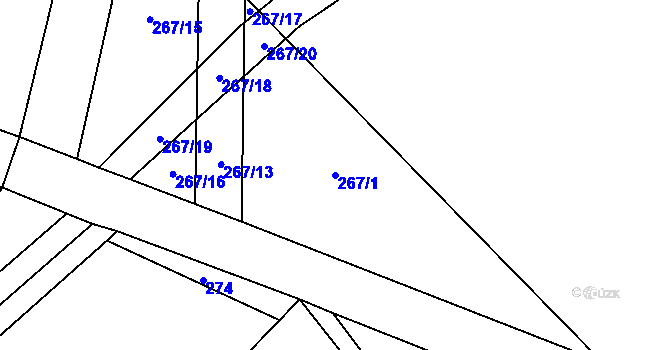 Parcela st. 267/1 v KÚ Záboří nad Labem, Katastrální mapa
