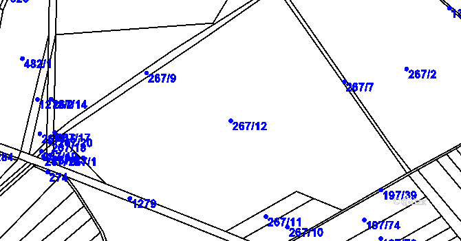 Parcela st. 267/12 v KÚ Záboří nad Labem, Katastrální mapa