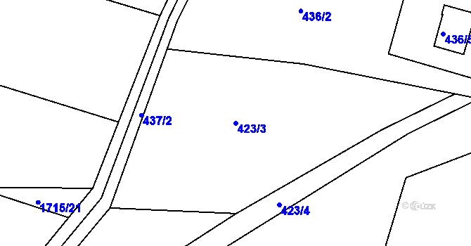 Parcela st. 423/3 v KÚ Raková, Katastrální mapa