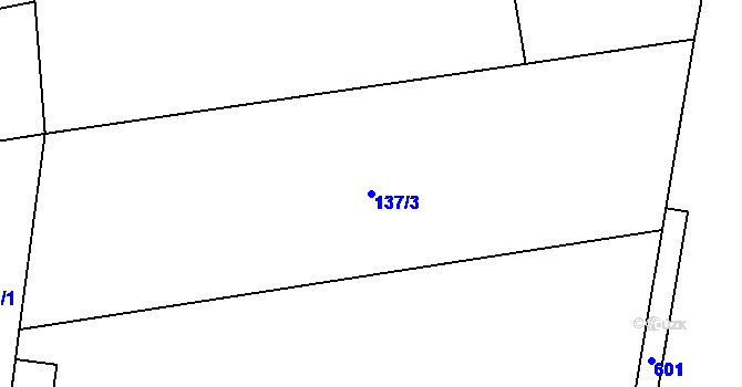 Parcela st. 137/3 v KÚ Zahnašovice, Katastrální mapa