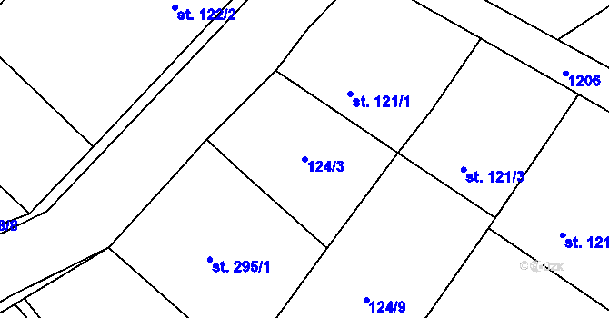 Parcela st. 124/3 v KÚ Zaječice u Chrudimi, Katastrální mapa