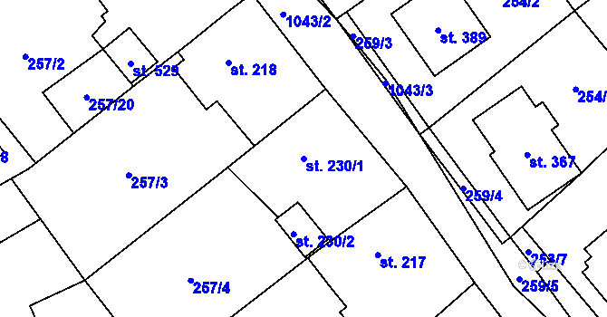 Parcela st. 230/1 v KÚ Zaječice u Chrudimi, Katastrální mapa