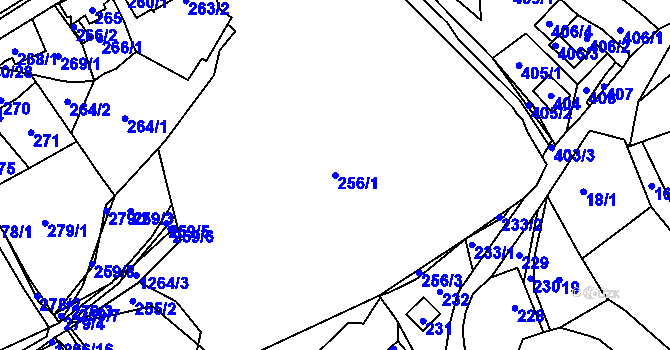 Parcela st. 256/1 v KÚ Zaječov, Katastrální mapa