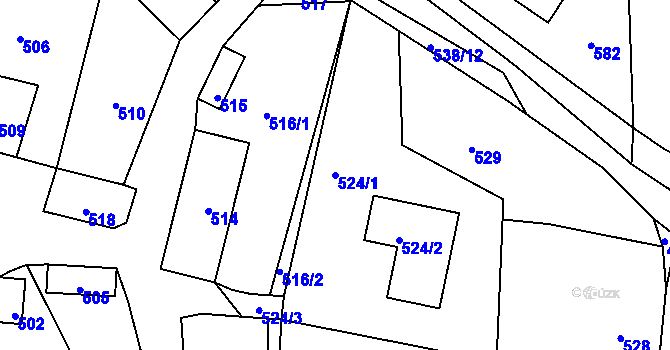 Parcela st. 524/1 v KÚ Zaječov, Katastrální mapa