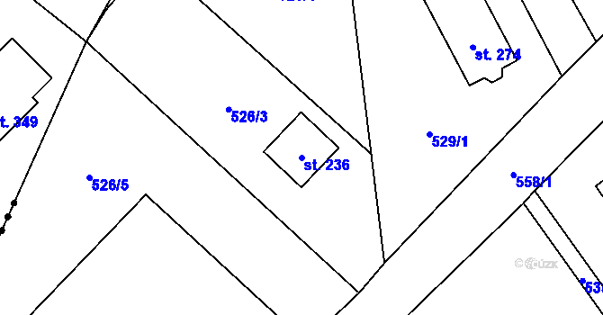 Parcela st. 236 v KÚ Trněný Újezd u Zákolan, Katastrální mapa