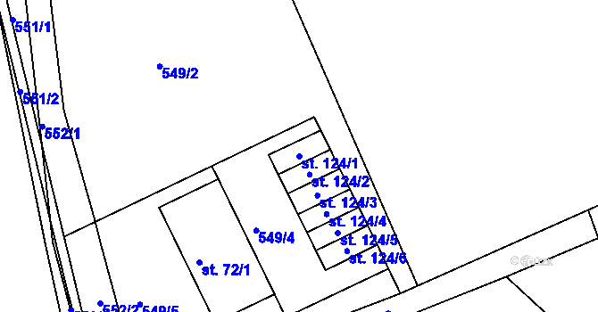 Parcela st. 124/1 v KÚ Zálší u Chocně, Katastrální mapa