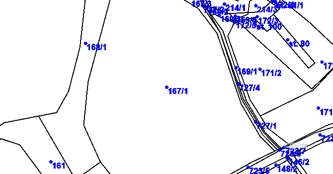 Parcela st. 167/1 v KÚ Zálší u Chocně, Katastrální mapa
