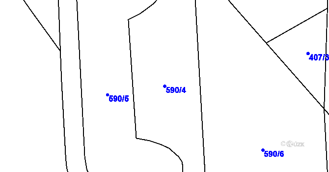 Parcela st. 590/4 v KÚ Záluží u Litvínova, Katastrální mapa