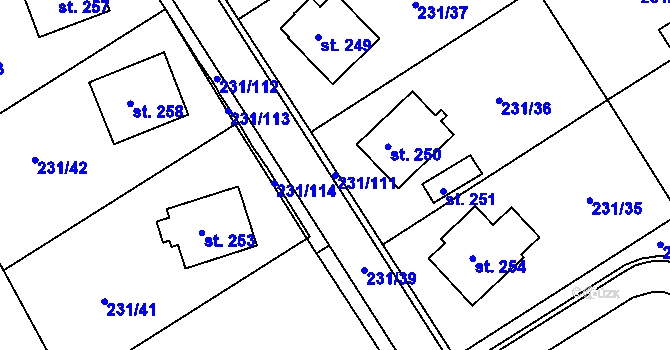 Parcela st. 231/111 v KÚ Zámrsk, Katastrální mapa