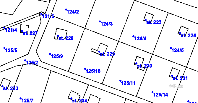 Parcela st. 229 v KÚ Zárybničná Lhota, Katastrální mapa