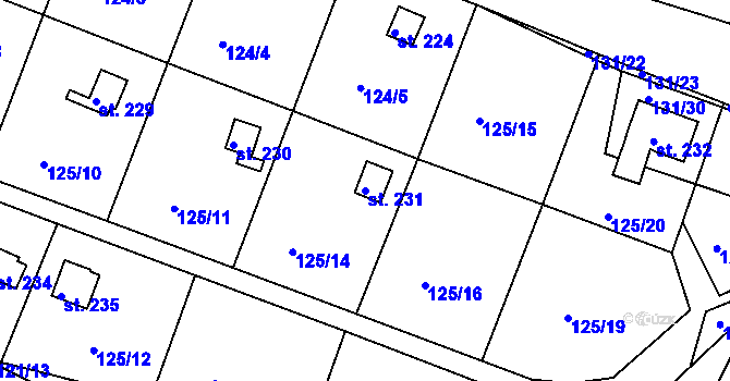 Parcela st. 231 v KÚ Zárybničná Lhota, Katastrální mapa