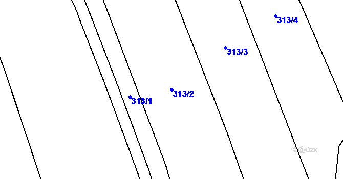Parcela st. 313/2 v KÚ Zárybničná Lhota, Katastrální mapa