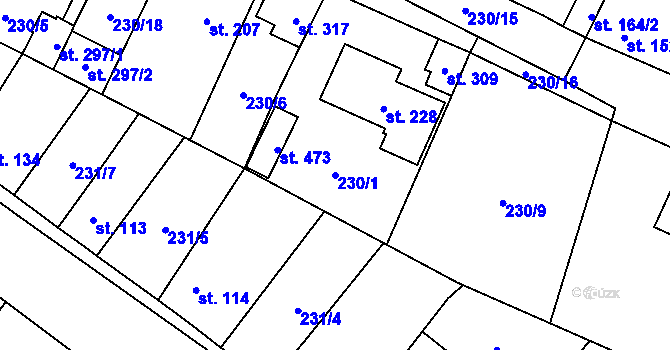Parcela st. 230/1 v KÚ Záryby, Katastrální mapa