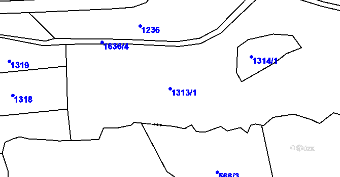 Parcela st. 1313/1 v KÚ Zásada, Katastrální mapa
