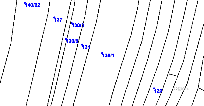 Parcela st. 130/1 v KÚ Zástřizly, Katastrální mapa
