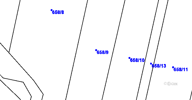 Parcela st. 658/9 v KÚ Závišice, Katastrální mapa