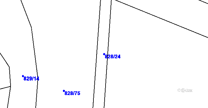 Parcela st. 828/24 v KÚ Závišice, Katastrální mapa