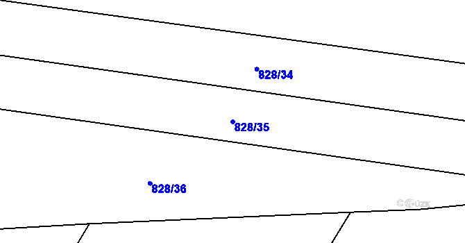 Parcela st. 828/35 v KÚ Závišice, Katastrální mapa