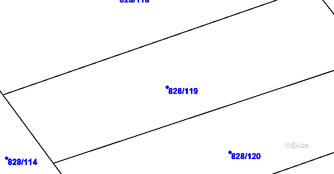 Parcela st. 828/119 v KÚ Závišice, Katastrální mapa