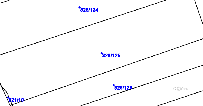 Parcela st. 828/125 v KÚ Závišice, Katastrální mapa