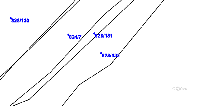 Parcela st. 828/133 v KÚ Závišice, Katastrální mapa