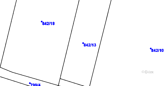 Parcela st. 842/13 v KÚ Závišice, Katastrální mapa