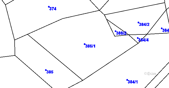 Parcela st. 386/1 v KÚ Plichtice, Katastrální mapa