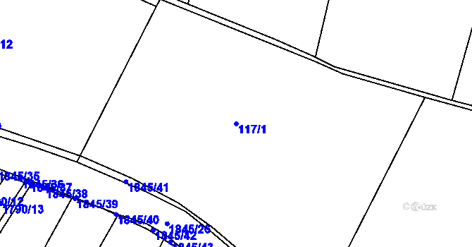 Parcela st. 117/1 v KÚ Zavlekov, Katastrální mapa