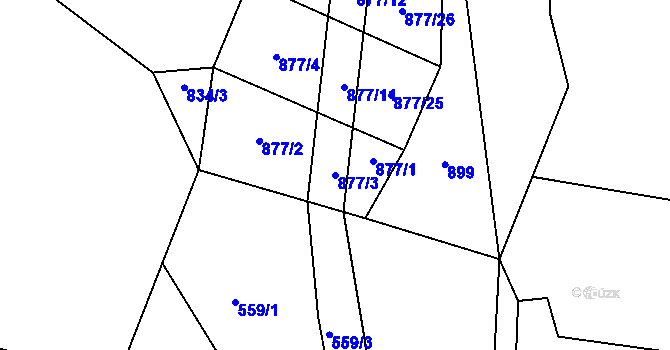 Parcela st. 877/3 v KÚ Zbelítov, Katastrální mapa
