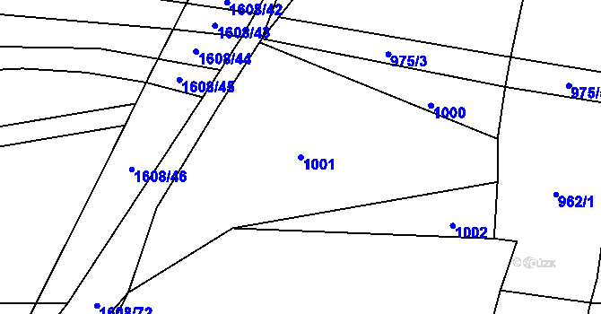 Parcela st. 1001 v KÚ Jestřebice, Katastrální mapa