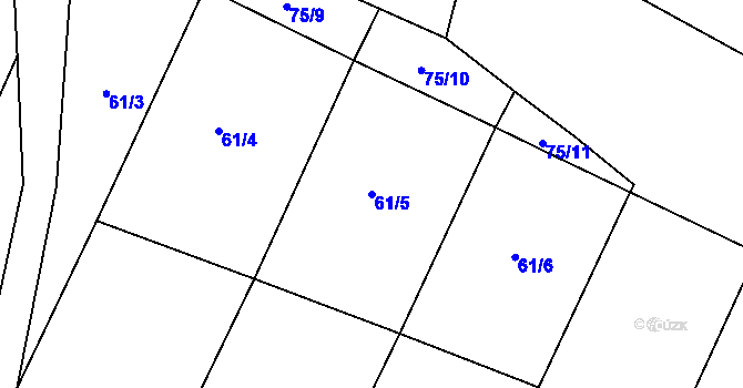 Parcela st. 61/5 v KÚ Kolišov, Katastrální mapa