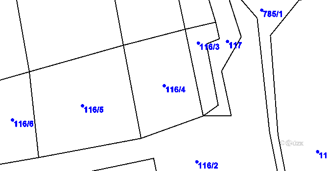 Parcela st. 116/4 v KÚ Srlín, Katastrální mapa