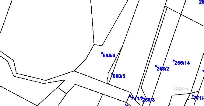 Parcela st. 698/4 v KÚ Štěpánov u Skutče, Katastrální mapa
