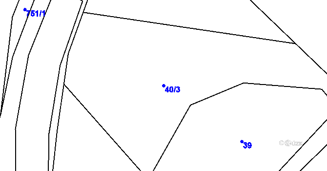 Parcela st. 40/3 v KÚ Domašín u Zbraslavi, Katastrální mapa