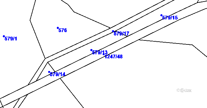 Parcela st. 1247/48 v KÚ Zbytiny, Katastrální mapa