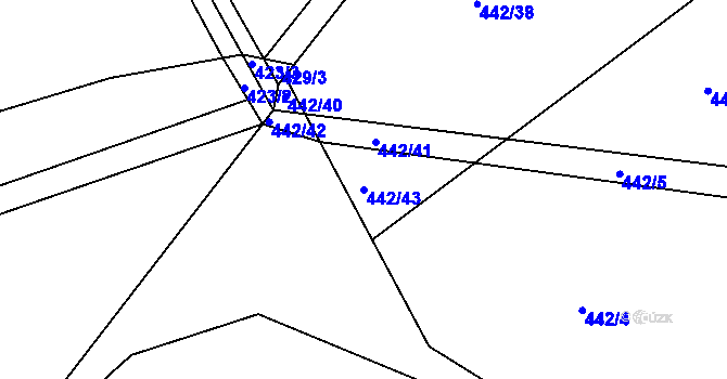 Parcela st. 442/43 v KÚ Spytovice, Katastrální mapa