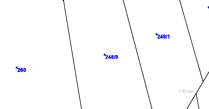 Parcela st. 248/9 v KÚ Knížkovice, Katastrální mapa