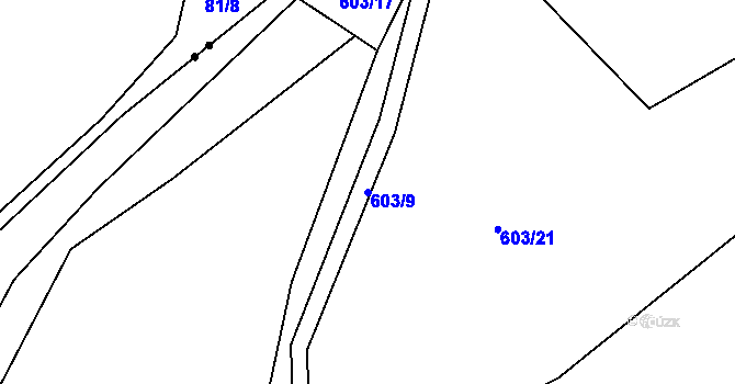 Parcela st. 603/9 v KÚ Putkov, Katastrální mapa